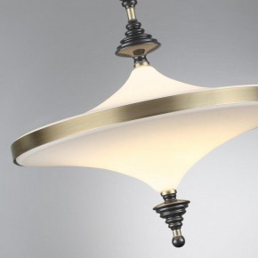 Светильник на штанге Odeon Light Ula 5404/43CL в Шадринске - shadrinsk.ok-mebel.com | фото 6