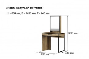 Трюмо "Лофт 10" в Шадринске - shadrinsk.ok-mebel.com | фото 3