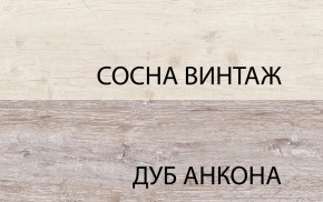 Тумба RTV 1D2SN, MONAKO, цвет Сосна винтаж/дуб анкона в Шадринске - shadrinsk.ok-mebel.com | фото 3