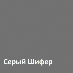 Юнона Шкаф торцевой 13.221 в Шадринске - shadrinsk.ok-mebel.com | фото 2